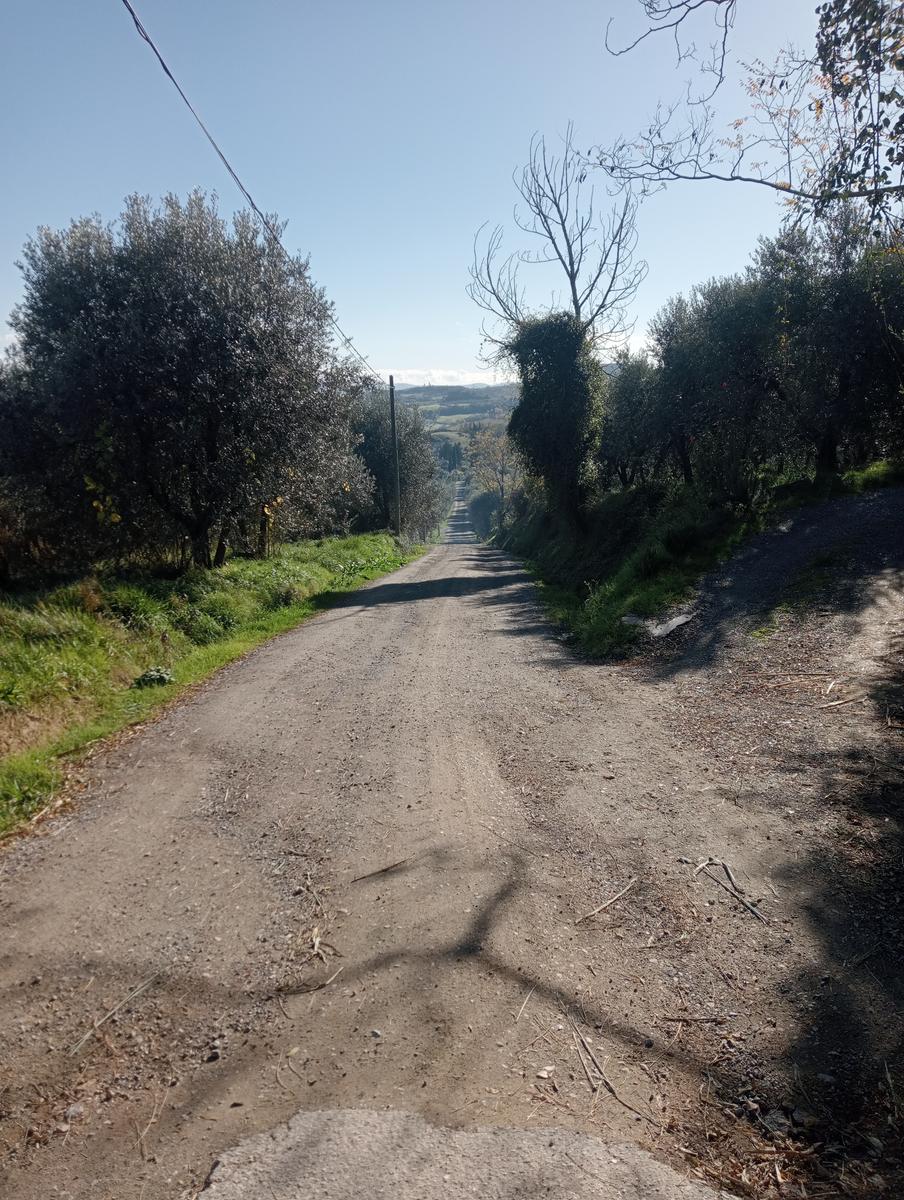 Gambassi terme - foto 19