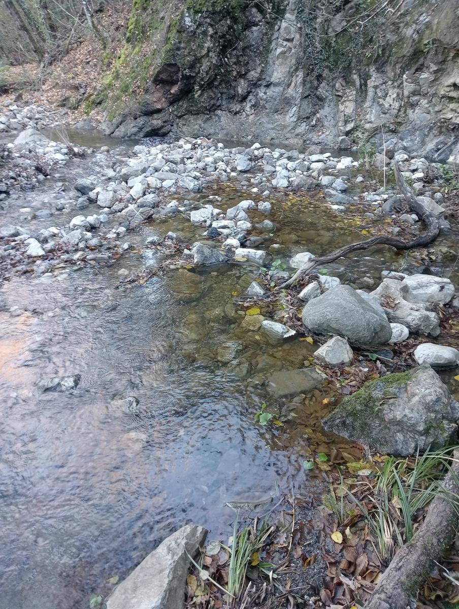 Gambassi terme - foto 21