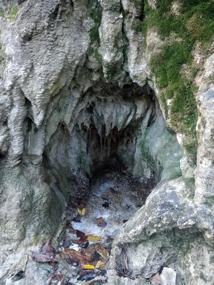 Gambassi terme - foto 22