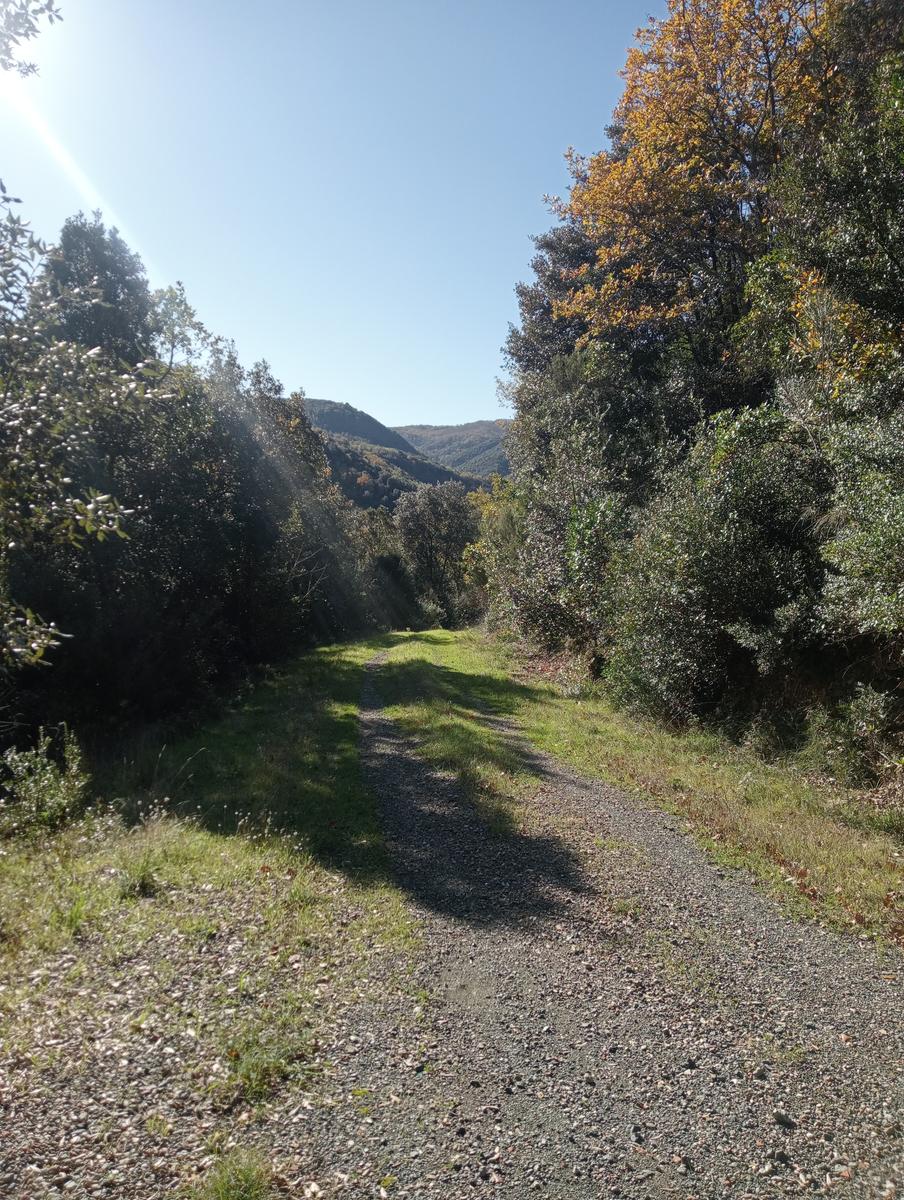 Gambassi terme - foto 23