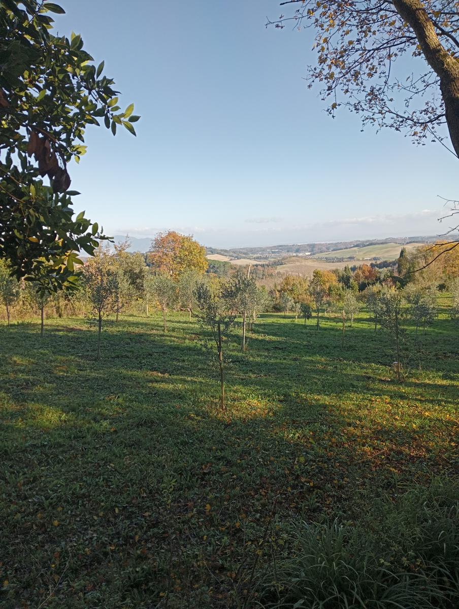 Valle Benedetta - Colognole - Acquedotto Leopoldino (Acquedotto di Colognole) ~ Grotte - foto 3