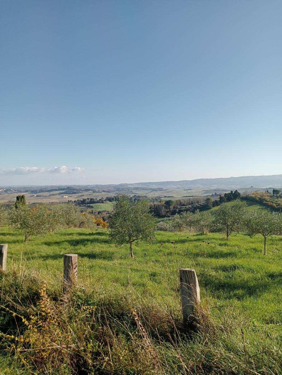 Valle Benedetta - Colognole - Acquedotto Leopoldino (Acquedotto di Colognole) ~ Grotte - foto 4