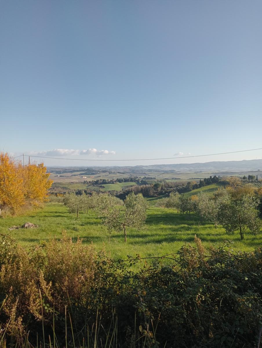 Valle Benedetta - Colognole - Acquedotto Leopoldino (Acquedotto di Colognole) ~ Grotte - foto 5
