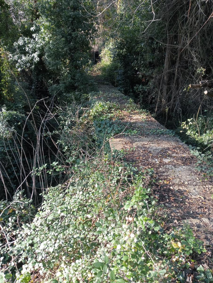 Valle Benedetta - Colognole - Acquedotto Leopoldino (Acquedotto di Colognole) ~ Grotte - foto 6