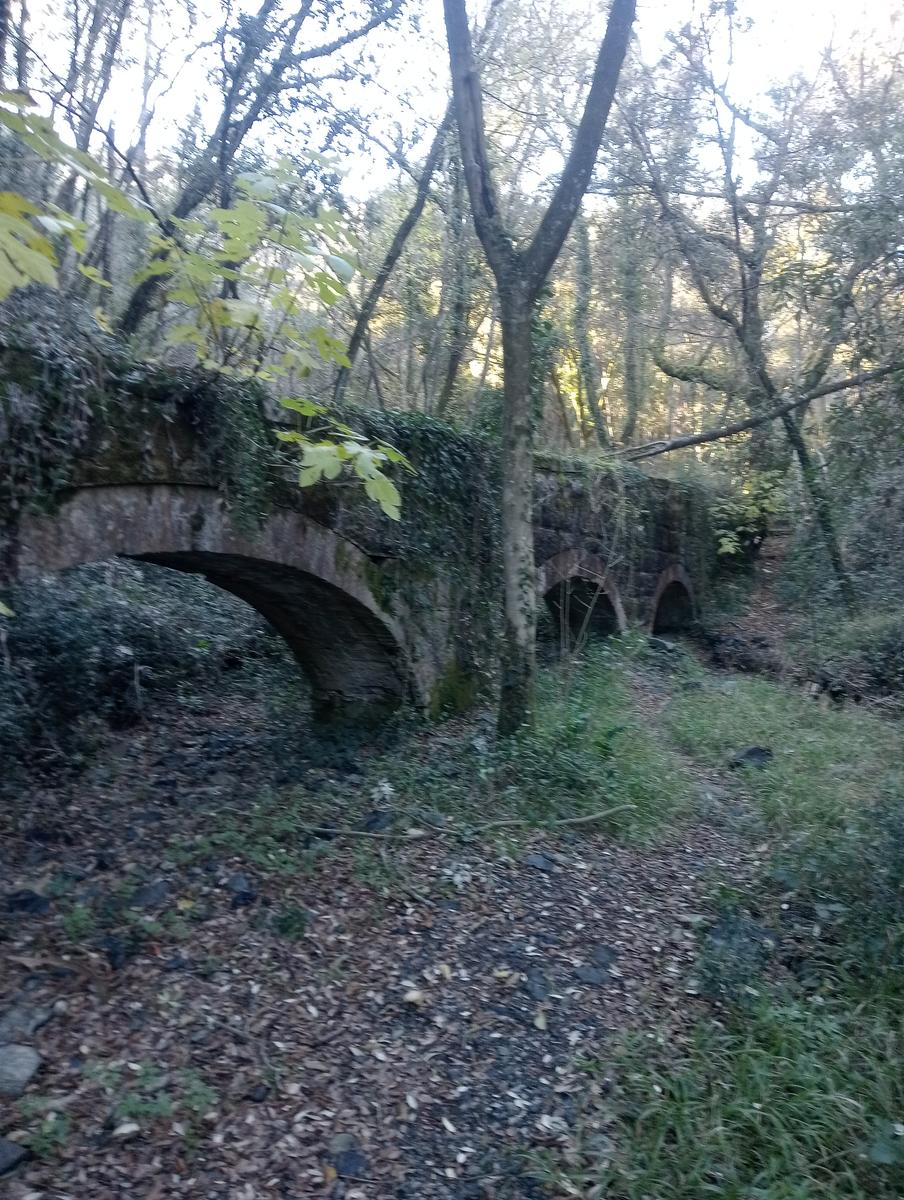 Valle Benedetta - Colognole - Acquedotto Leopoldino (Acquedotto di Colognole) ~ Grotte - foto 11