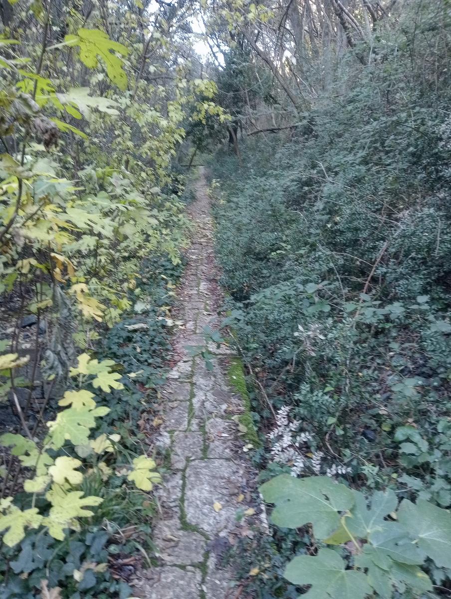 Valle Benedetta - Colognole - Acquedotto Leopoldino (Acquedotto di Colognole) ~ Grotte - foto 12