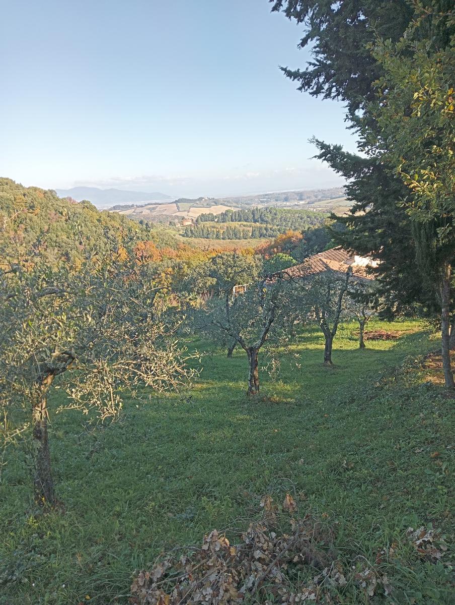 Valle Benedetta - Colognole - Acquedotto Leopoldino (Acquedotto di Colognole) ~ Grotte - foto 15