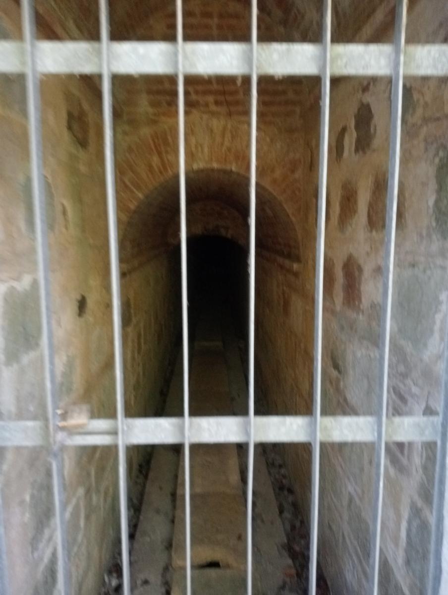 Valle Benedetta - Colognole - Acquedotto Leopoldino (Acquedotto di Colognole) ~ Grotte - foto 16