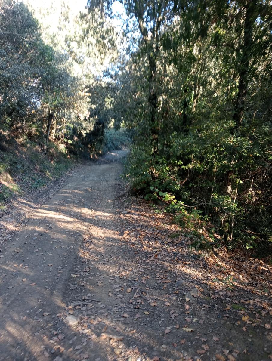 Valle Benedetta - Colognole - Acquedotto Leopoldino (Acquedotto di Colognole) ~ Grotte - foto 21