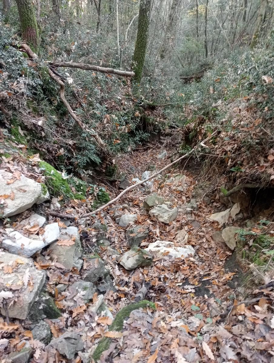 Valle Benedetta - Colognole - Acquedotto Leopoldino (Acquedotto di Colognole) ~ Grotte - foto 22