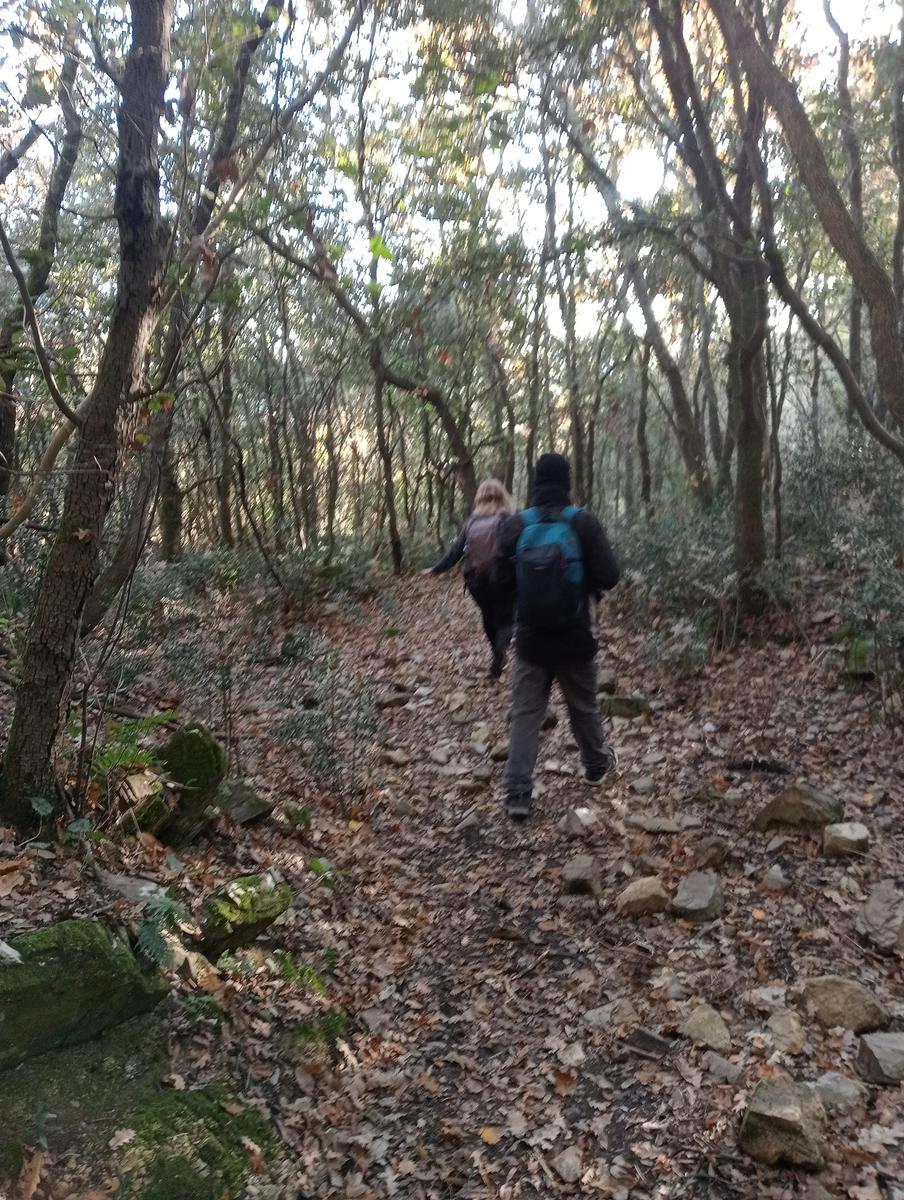 Valle Benedetta - Colognole - Acquedotto Leopoldino (Acquedotto di Colognole) ~ Grotte - foto 23