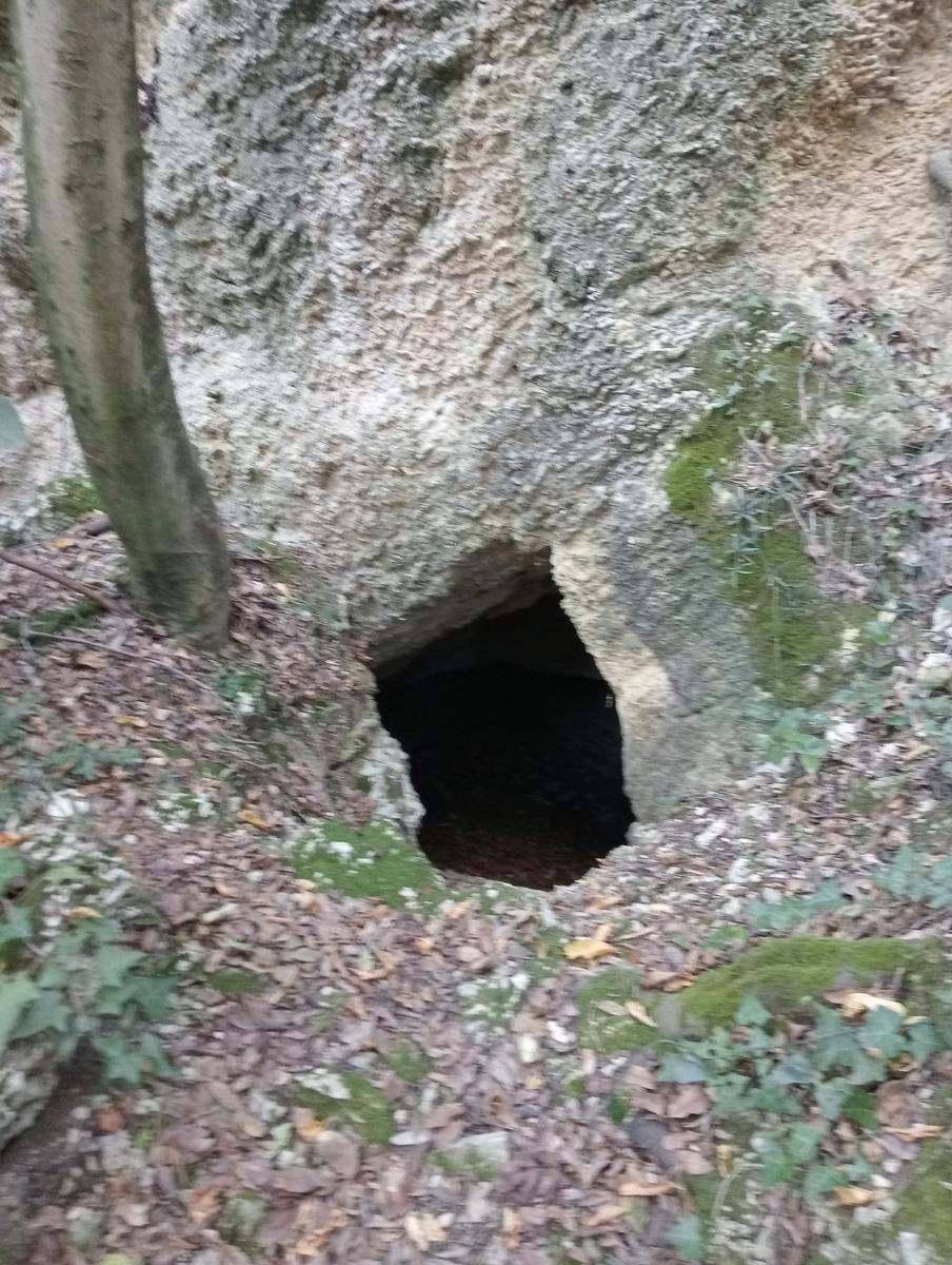 Valle Benedetta - Colognole - Acquedotto Leopoldino (Acquedotto di Colognole) ~ Grotte - foto 24