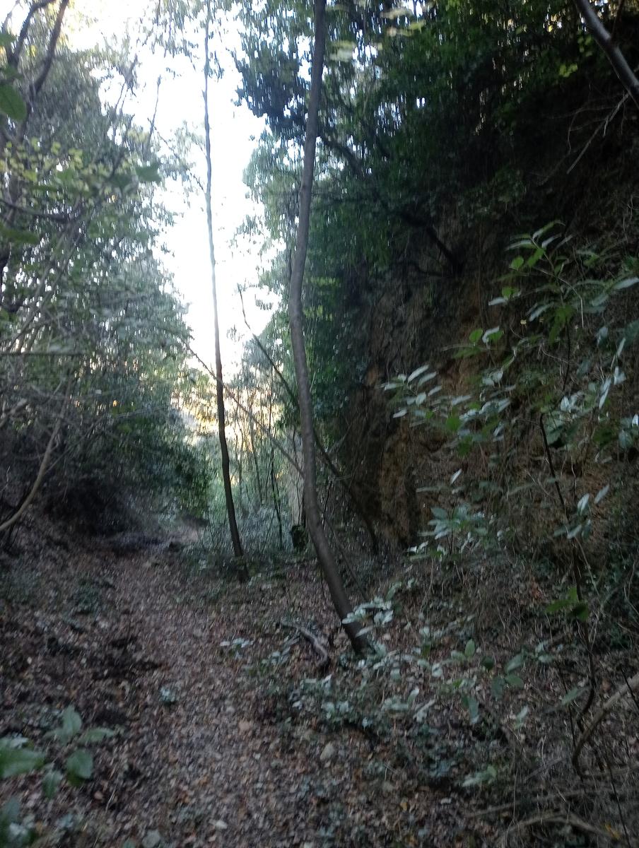 Valle Benedetta - Colognole - Acquedotto Leopoldino (Acquedotto di Colognole) ~ Grotte - foto 25