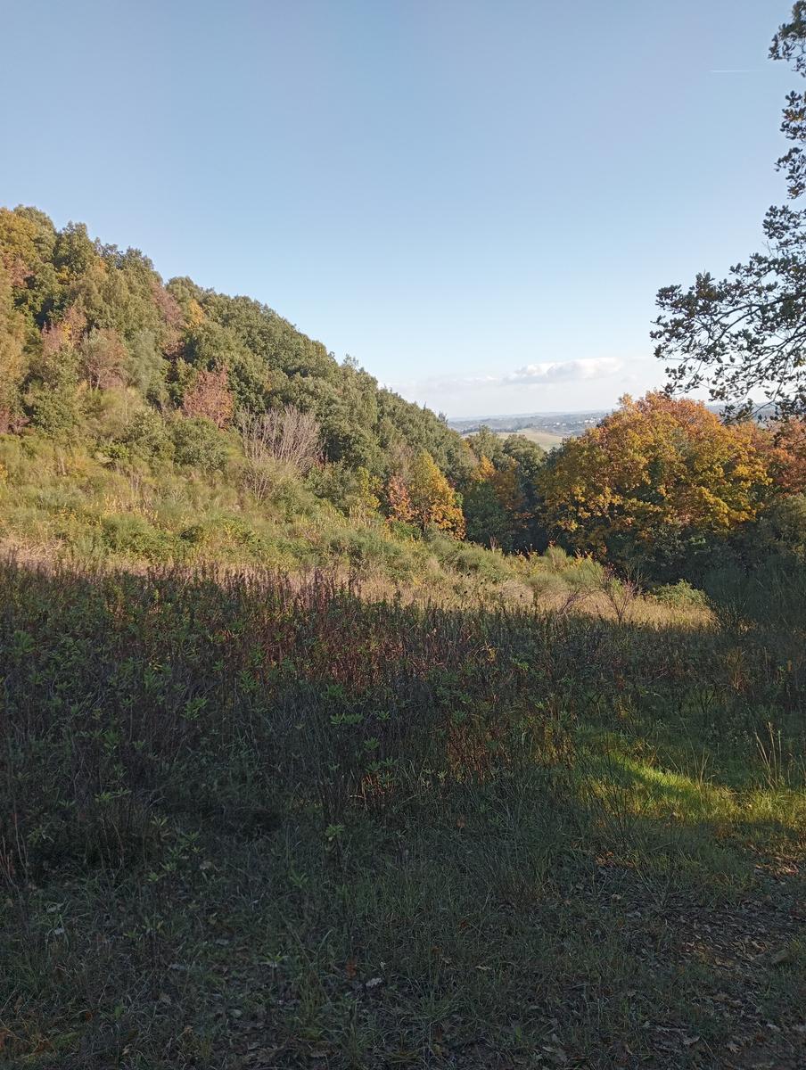 Valle Benedetta - Colognole - Acquedotto Leopoldino (Acquedotto di Colognole) ~ Grotte - foto 26