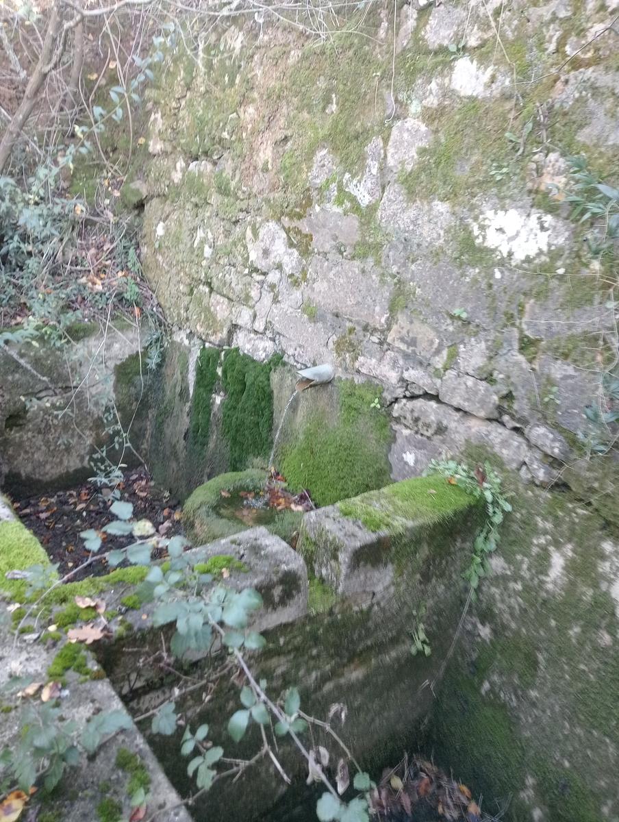 Valle Benedetta - Colognole - Acquedotto Leopoldino (Acquedotto di Colognole) ~ Grotte - foto 27