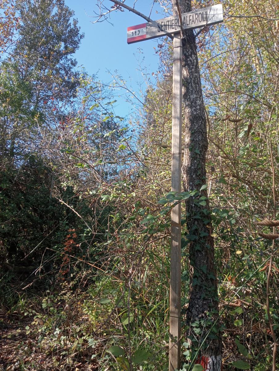 Valle Benedetta - Colognole - Acquedotto Leopoldino (Acquedotto di Colognole) ~ Grotte - foto 29