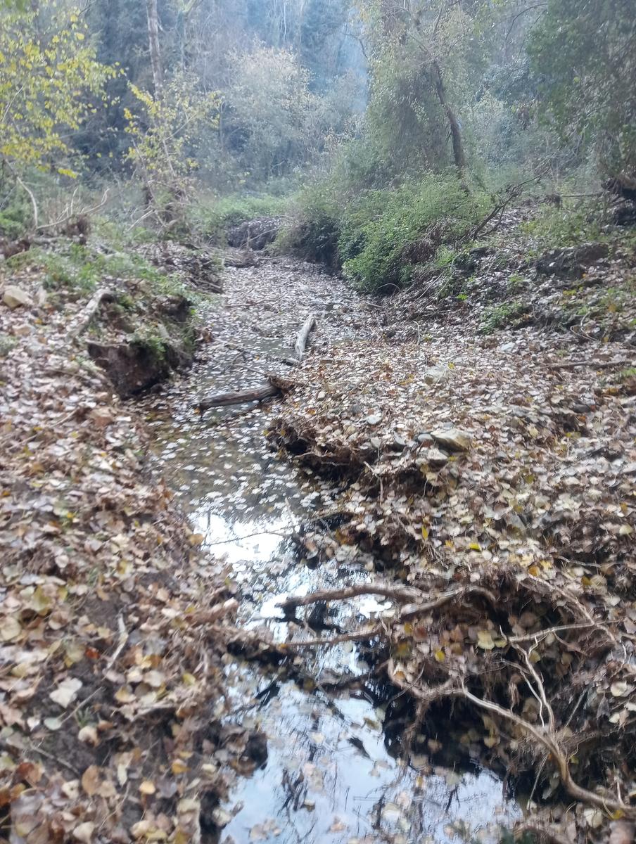 Valle Benedetta - Colognole - Acquedotto Leopoldino (Acquedotto di Colognole) ~ Grotte - foto 30