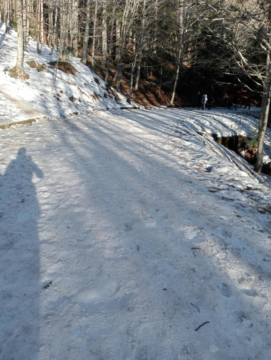Ciaspolata Rifugio Casetta di Lapo, Cima del Diaccione e Lago della Risaia da Passo dell'Abetone Abetone Pt