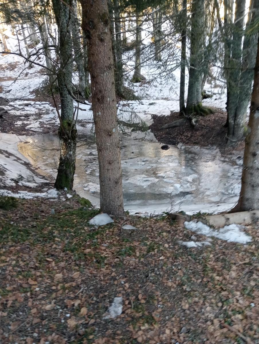 Ciaspolata Rifugio Casetta di Lapo, Cima del Diaccione e Lago della Risaia da Passo dell'Abetone Abetone Pt - foto 2