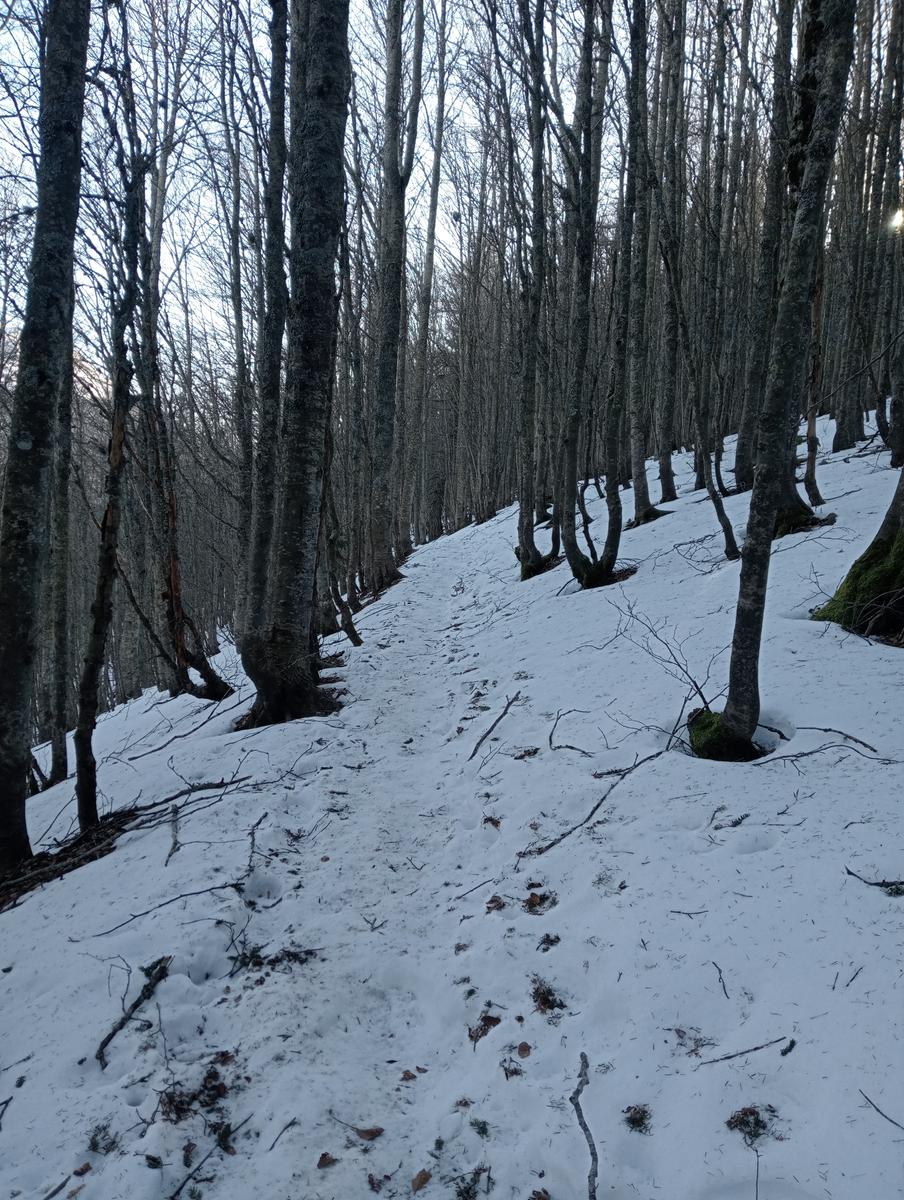 Ciaspolata Rifugio Casetta di Lapo, Cima del Diaccione e Lago della Risaia da Passo dell'Abetone Abetone Pt - foto 3