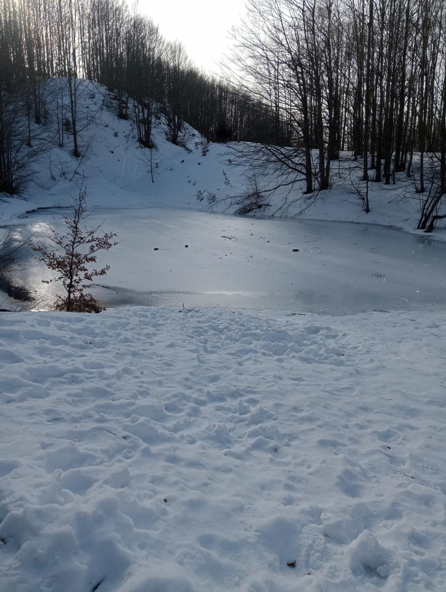 Ciaspolata Rifugio Casetta di Lapo, Cima del Diaccione e Lago della Risaia da Passo dell'Abetone Abetone Pt - foto 6