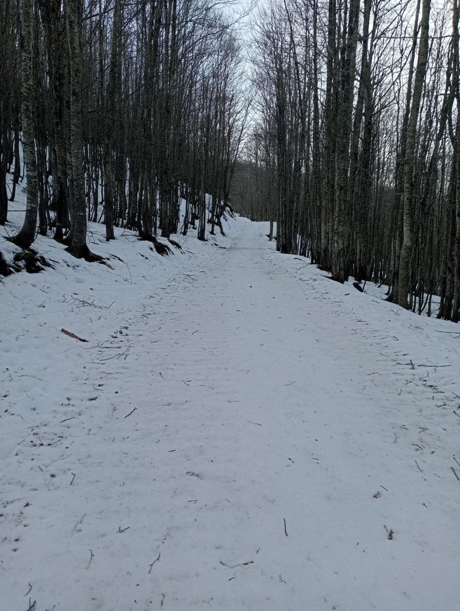Ciaspolata Rifugio Casetta di Lapo, Cima del Diaccione e Lago della Risaia da Passo dell'Abetone Abetone Pt - foto 8