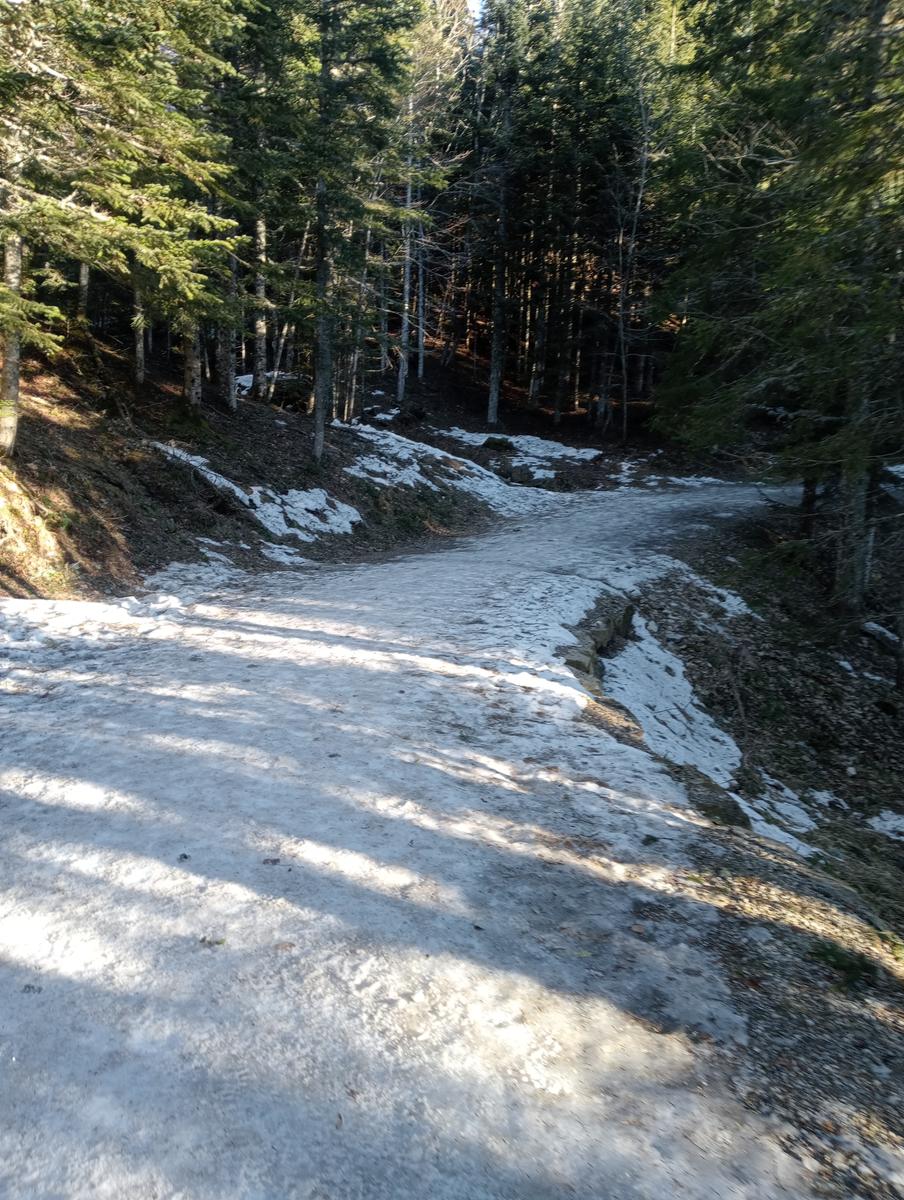 Ciaspolata Rifugio Casetta di Lapo, Cima del Diaccione e Lago della Risaia da Passo dell'Abetone Abetone Pt - foto 9