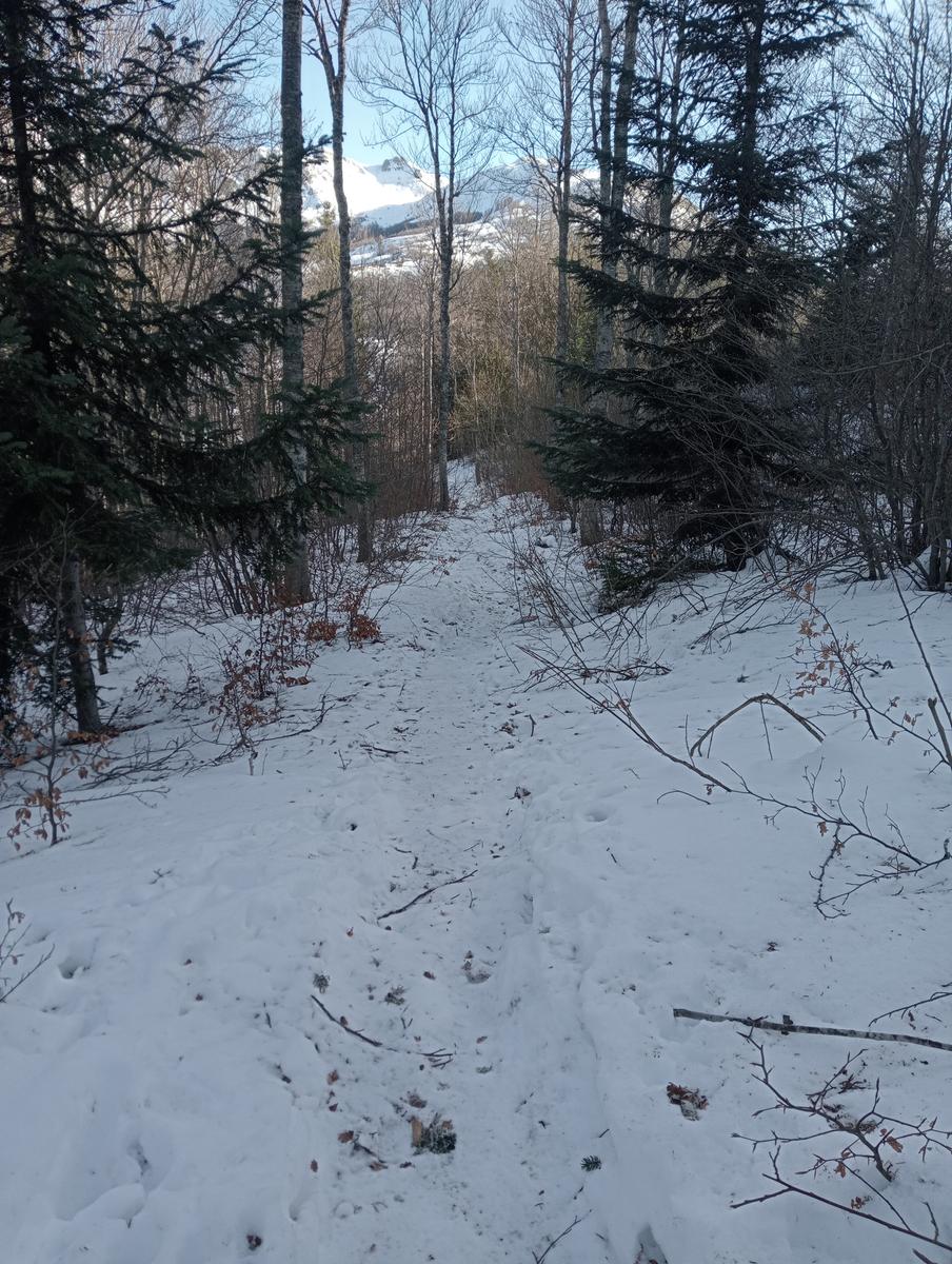 Ciaspolata Rifugio Casetta di Lapo, Cima del Diaccione e Lago della Risaia da Passo dell'Abetone Abetone Pt - foto 11