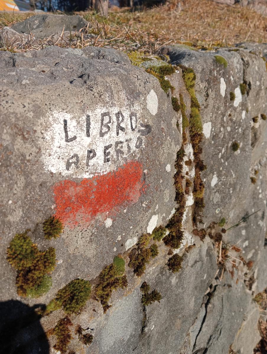Ciaspolata Rifugio Casetta di Lapo, Cima del Diaccione e Lago della Risaia da Passo dell'Abetone Abetone Pt - foto 16