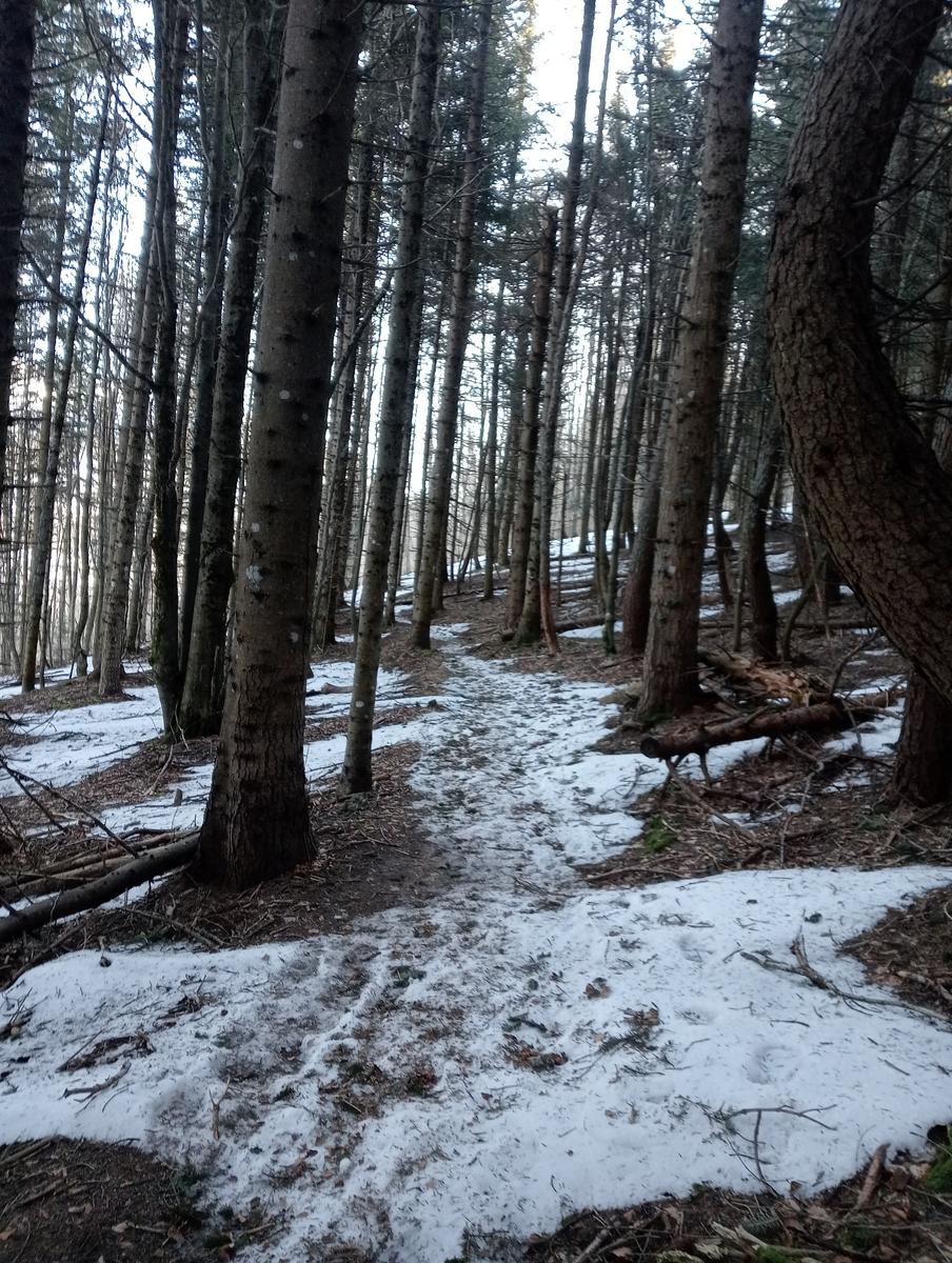 Ciaspolata Rifugio Casetta di Lapo, Cima del Diaccione e Lago della Risaia da Passo dell'Abetone Abetone Pt - foto 17