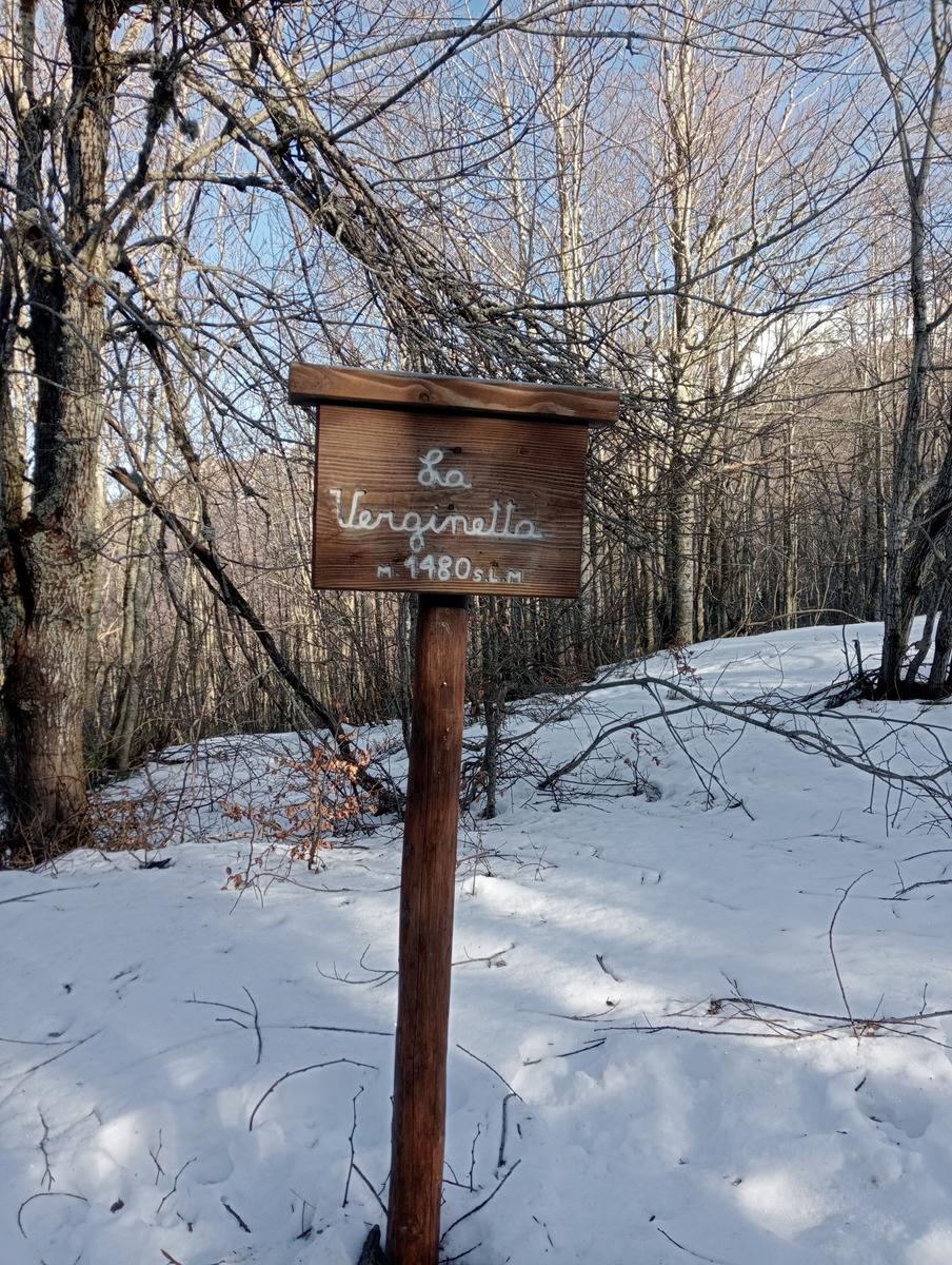 Ciaspolata Rifugio Casetta di Lapo, Cima del Diaccione e Lago della Risaia da Passo dell'Abetone Abetone Pt - foto 18