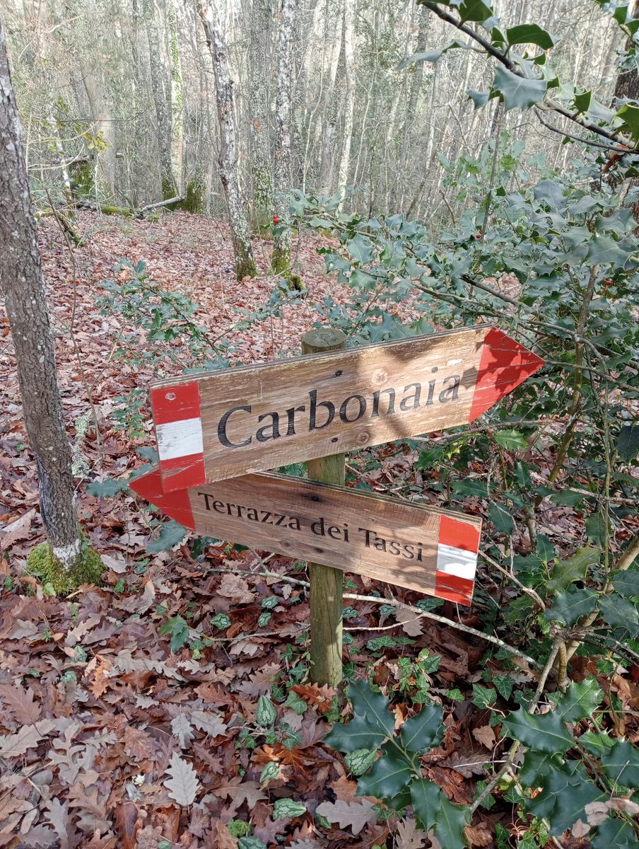 Quercia della merenda, Fonte del Tasso e Vignale da Cappella dell'ascensione