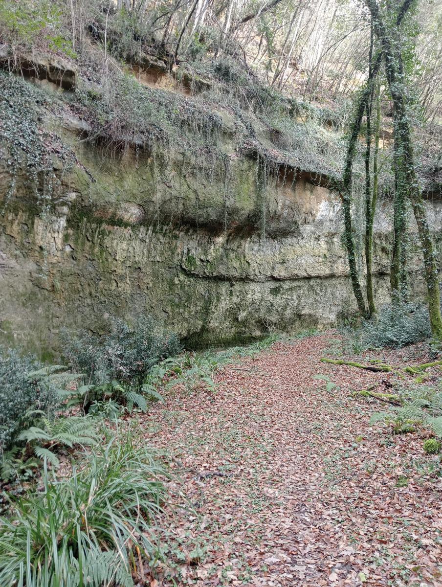 Quercia della merenda, Fonte del Tasso e Vignale da Cappella dell'ascensione - foto 3