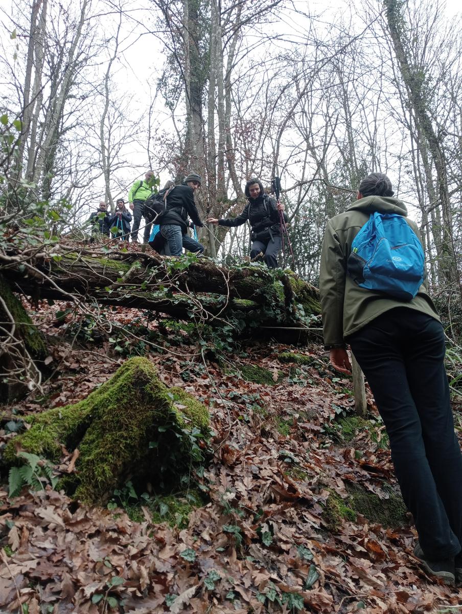 Quercia della merenda, Fonte del Tasso e Vignale da Cappella dell'ascensione - foto 4