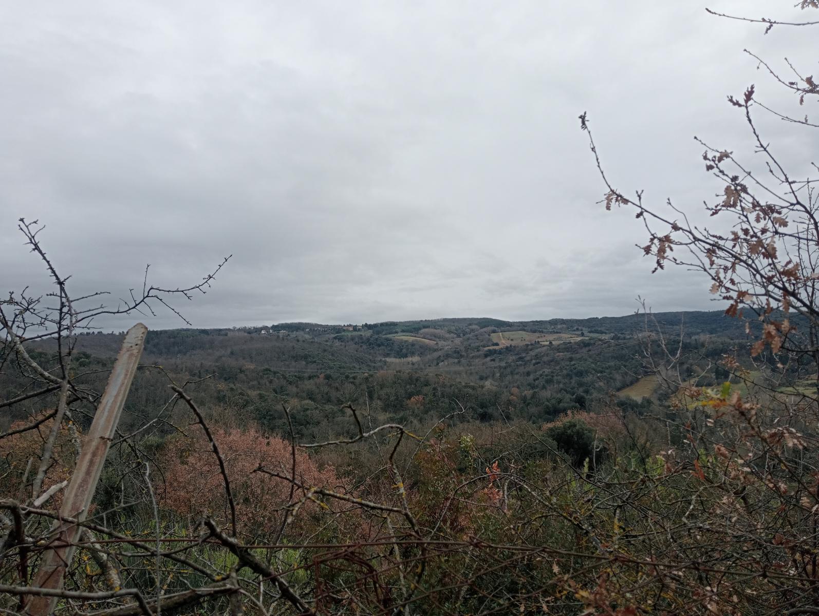 Quercia della merenda, Fonte del Tasso e Vignale da Cappella dell'ascensione - foto 5