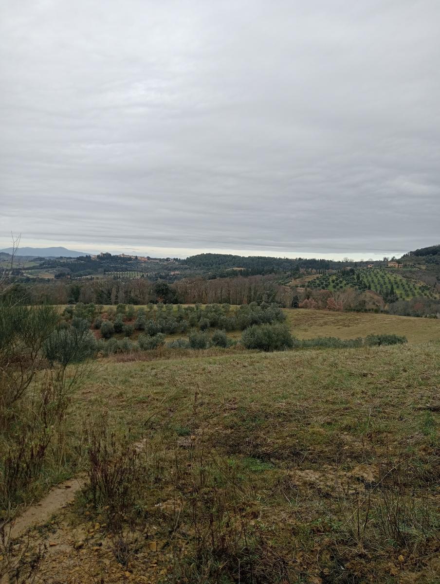 Quercia della merenda, Fonte del Tasso e Vignale da Cappella dell'ascensione - foto 7