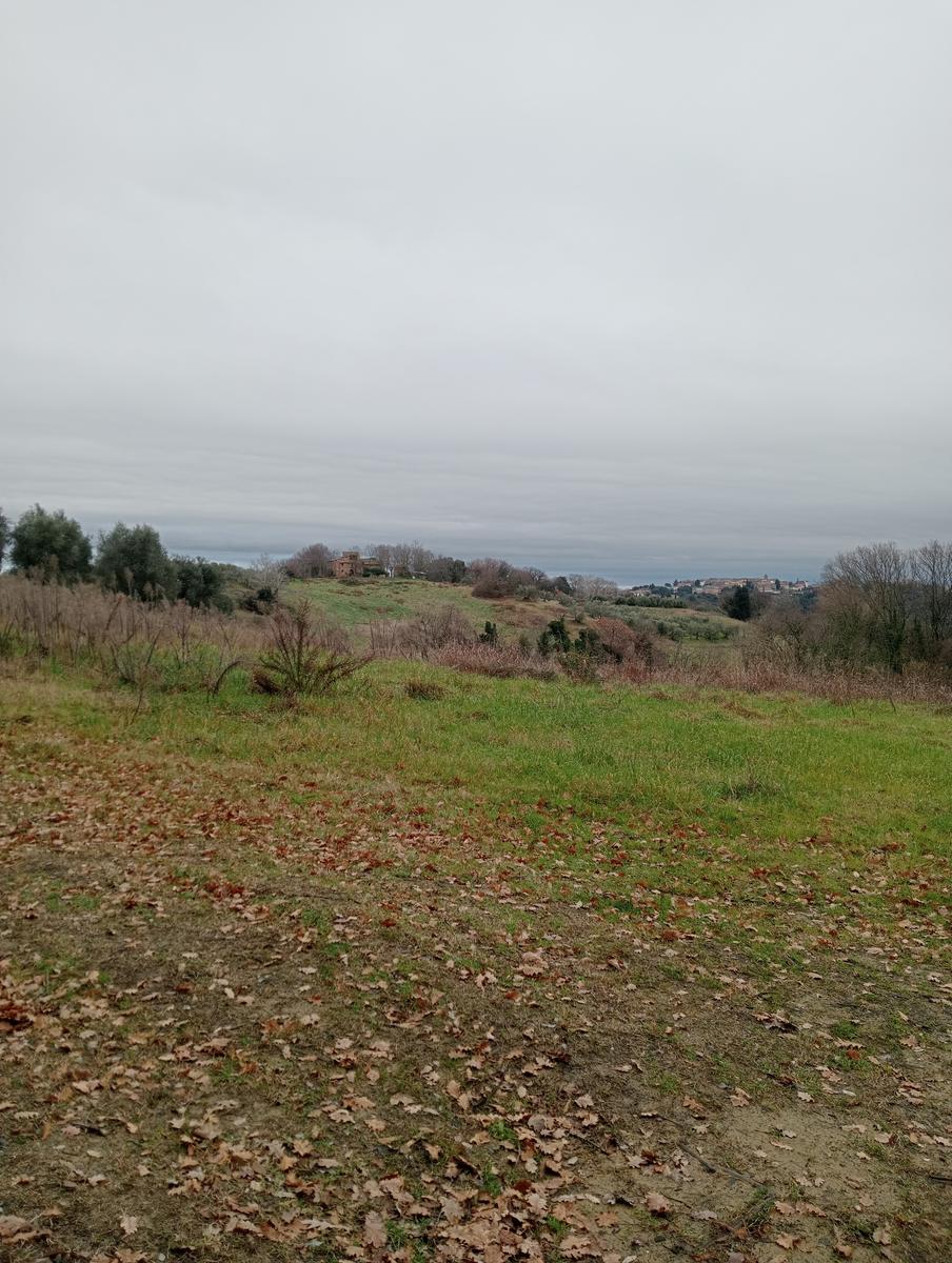 Quercia della merenda, Fonte del Tasso e Vignale da Cappella dell'ascensione - foto 8