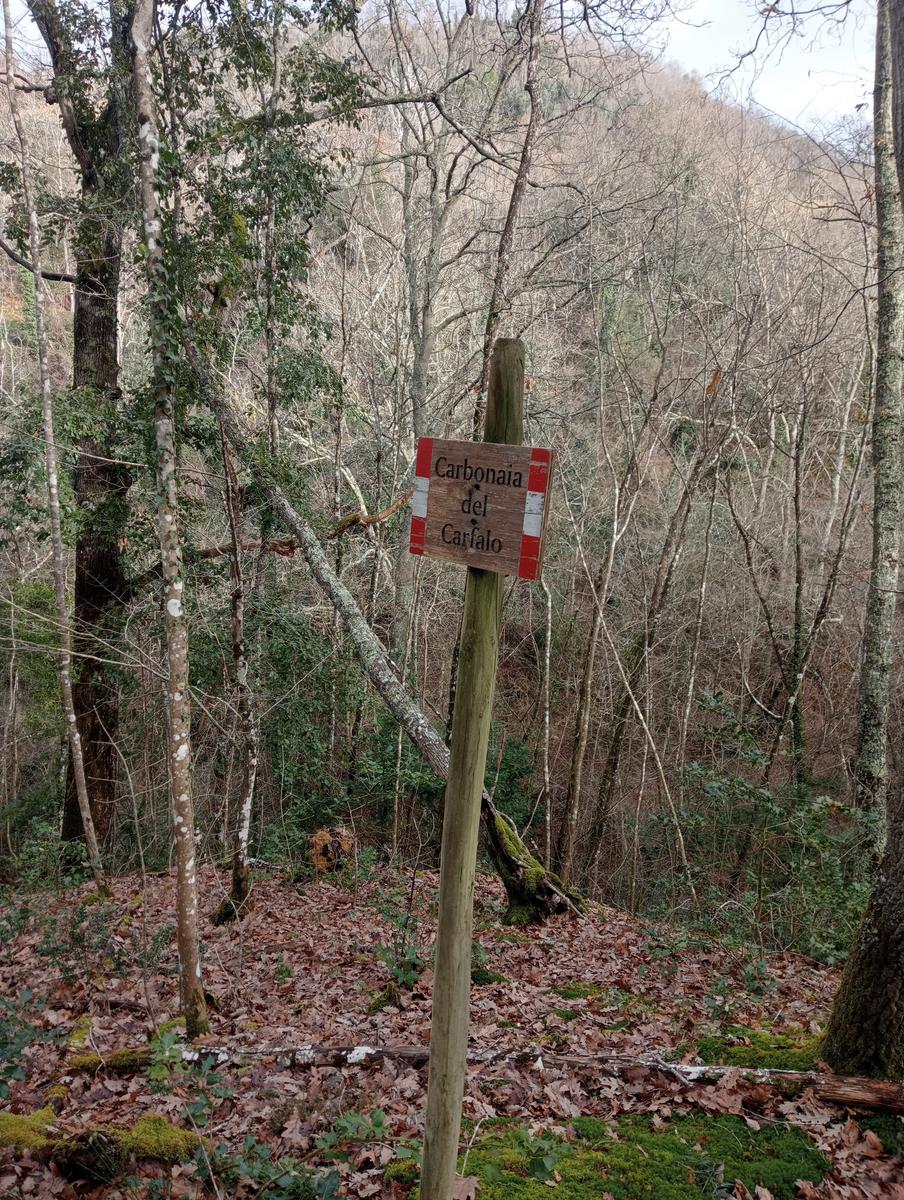 Quercia della merenda, Fonte del Tasso e Vignale da Cappella dell'ascensione - foto 11