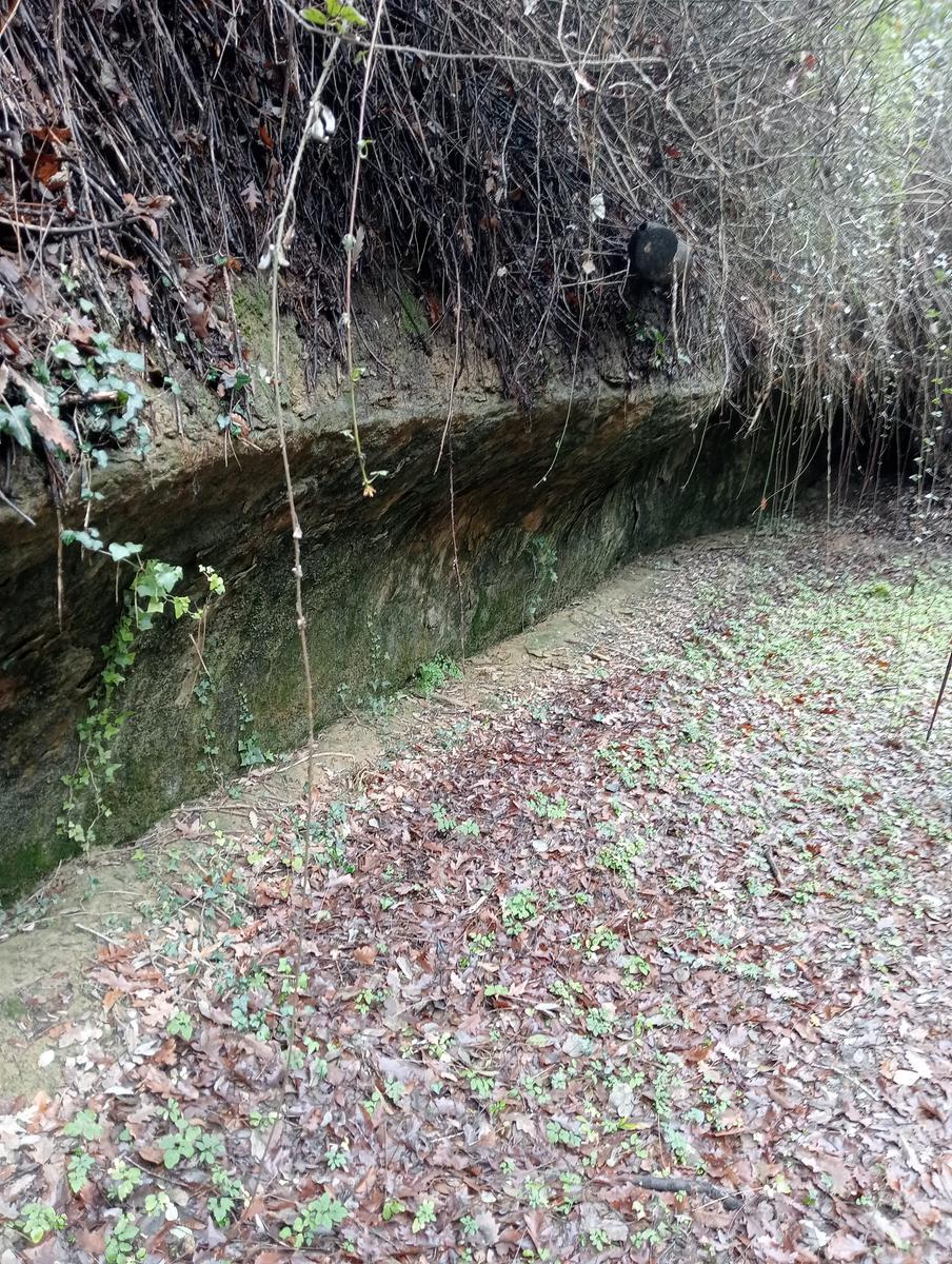 Quercia della merenda, Fonte del Tasso e Vignale da Cappella dell'ascensione - foto 13