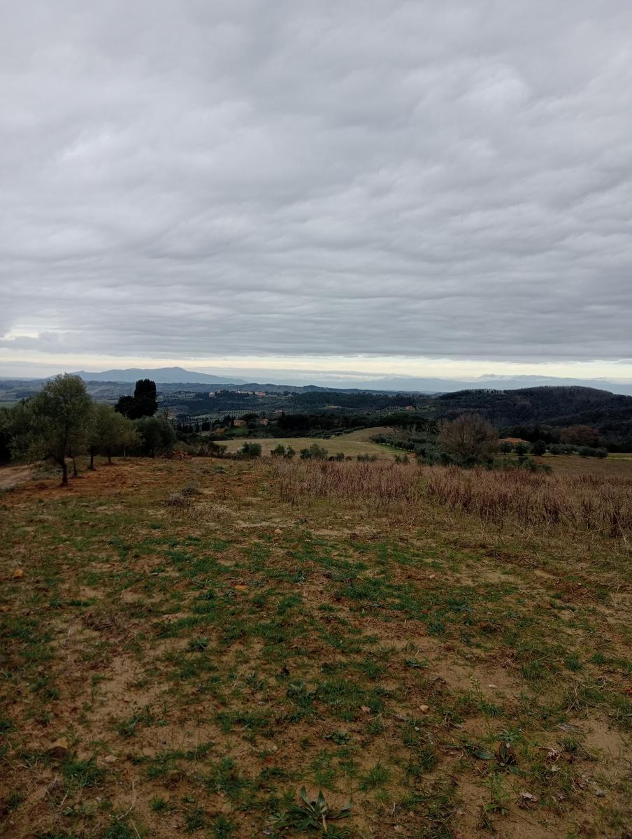 Quercia della merenda, Fonte del Tasso e Vignale da Cappella dell'ascensione - foto 16