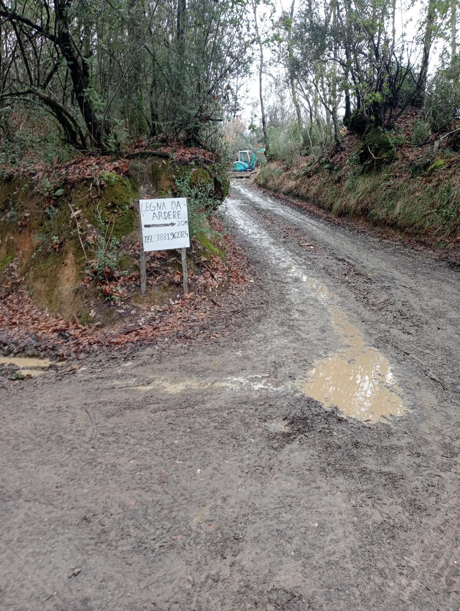 Quercia della merenda, Fonte del Tasso e Vignale da Cappella dell'ascensione - foto 18