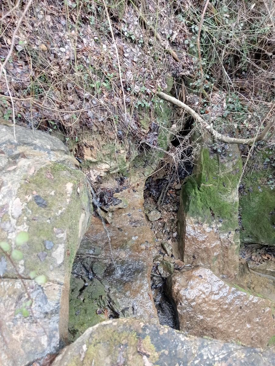 Quercia della merenda, Fonte del Tasso e Vignale da Cappella dell'ascensione - foto 20