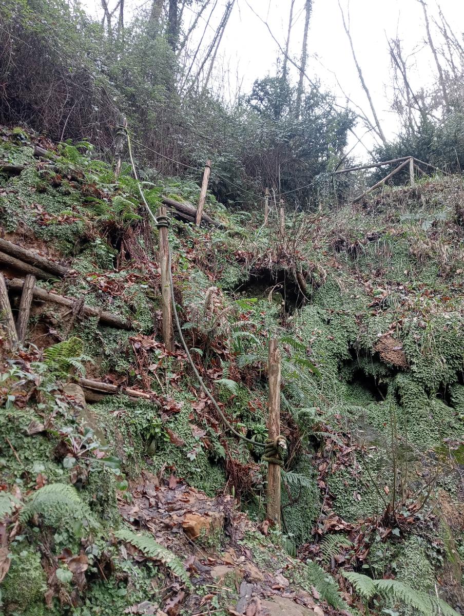 Quercia della merenda, Fonte del Tasso e Vignale da Cappella dell'ascensione - foto 21