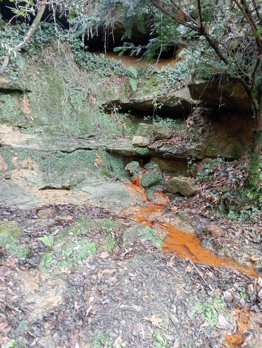 Quercia della merenda, Fonte del Tasso e Vignale da Cappella dell'ascensione - foto 22