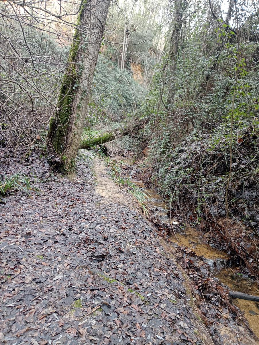 Quercia della merenda, Fonte del Tasso e Vignale da Cappella dell'ascensione - foto 23
