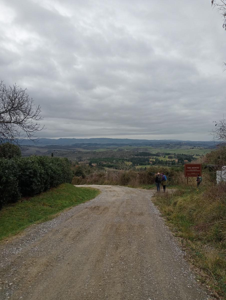 Quercia della merenda, Fonte del Tasso e Vignale da Cappella dell'ascensione - foto 26