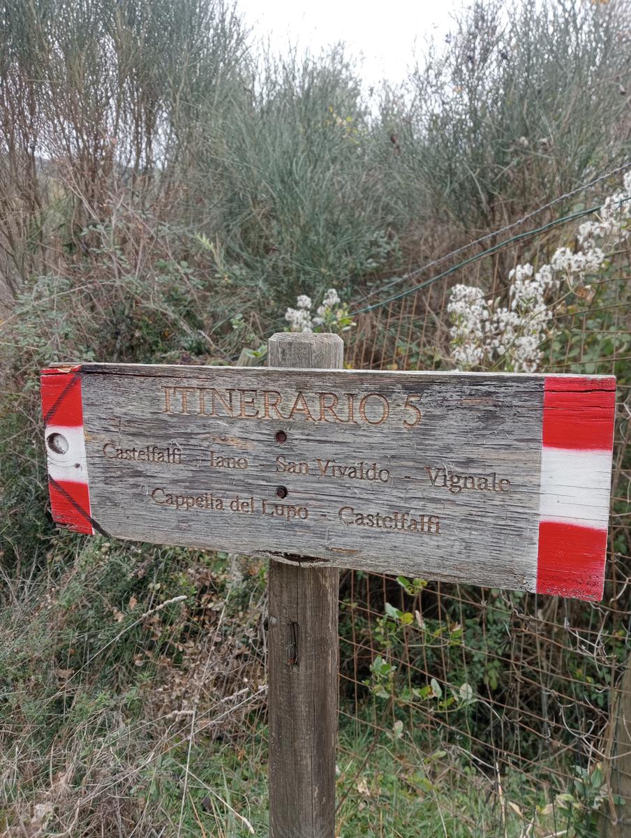 Quercia della merenda, Fonte del Tasso e Vignale da Cappella dell'ascensione - foto 27