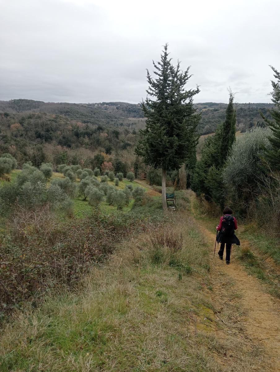 Quercia della merenda, Fonte del Tasso e Vignale da Cappella dell'ascensione - foto 28