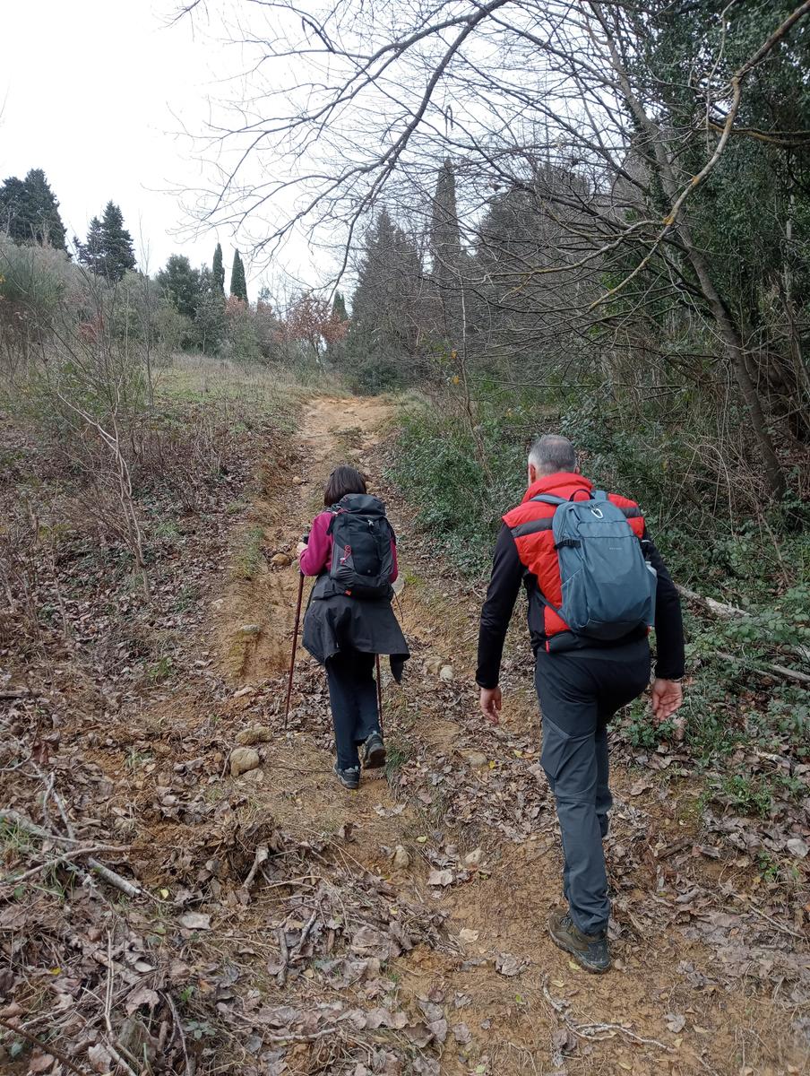Quercia della merenda, Fonte del Tasso e Vignale da Cappella dell'ascensione - foto 29