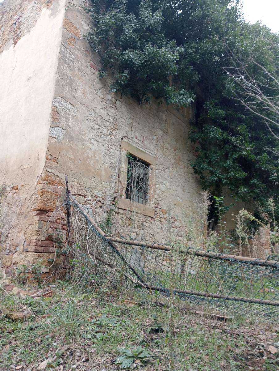 Quercia della merenda, Fonte del Tasso e Vignale da Cappella dell'ascensione - foto 30
